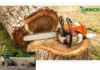 Professional Tree Removal Williamstown Services for Safe and Efficient Outdoor Care