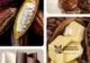 Certified Cocoa Ingredients for Premium Quality Chocolate Manufacturing