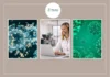 Buy Antibodies Online USA for Reliable Research and Diagnostics Solutions