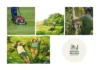 Expert Home And Yard Maintenance Regina Services for a Pristine Property