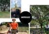 Trusted Tree Removal Company in Dothan AL for Safe and Efficient Service