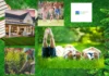 Expert Lawn Care Services in Converse TX for Vibrant and Healthy Yards