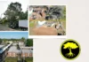 Expert Professional Tree Service for Healthy and Beautiful Trees