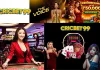 Cricbet99 win: Access Platform Updates and User Information