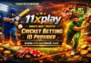 Essential Cricket ID Checklist for Smooth Account Access and Secure Betting on Cricwinbook