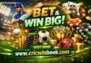 How to Secure and Maximize Your Online Cricket ID for the Best Cricket Experience