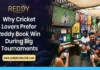 Reddy book green Platform for Sports and Casino Entertainment with Live Odds and Fast Withdrawals