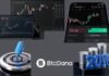 Virtual Forex Trading at Btcdana: Practice Currency Markets with Confidence