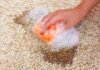 Eco-Friendly Carpet Cleaning Checklist for Home Care