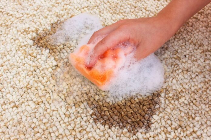 Eco-Friendly Carpet Cleaning Checklist for Home Care