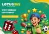 lotus365 Platform in the UK: Secure Casino, Betting, Rewards