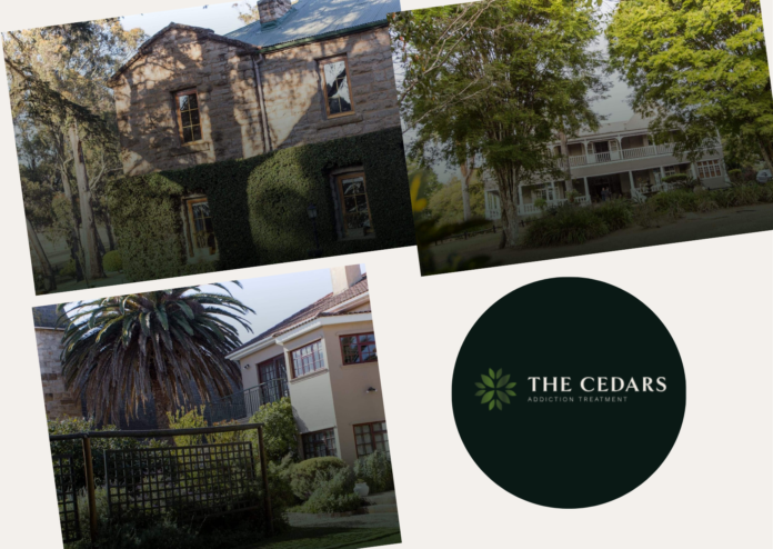 Checklist for Choosing a Johannesburg Digital Partner